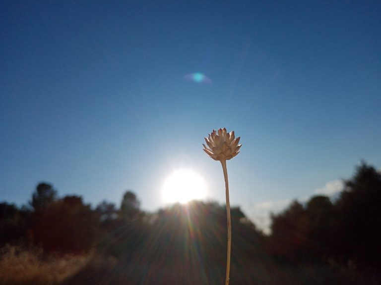 Pasos de otoño