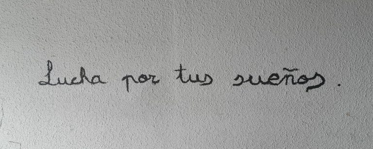 Lucha por tus sueños