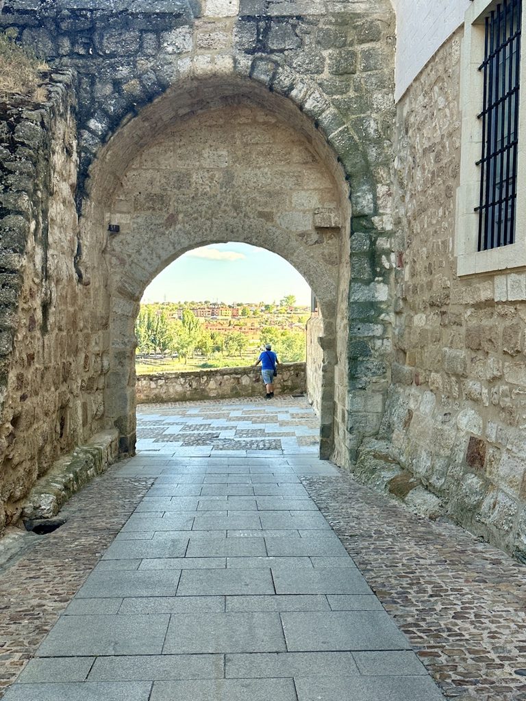 La zamorita