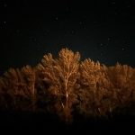Crepúsculo