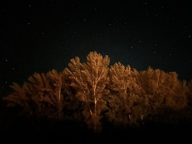 Crepúsculo