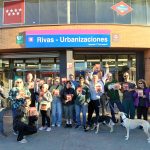 Comienzan los piquetes informativos de los “comités unitarios” por la Huelga General
